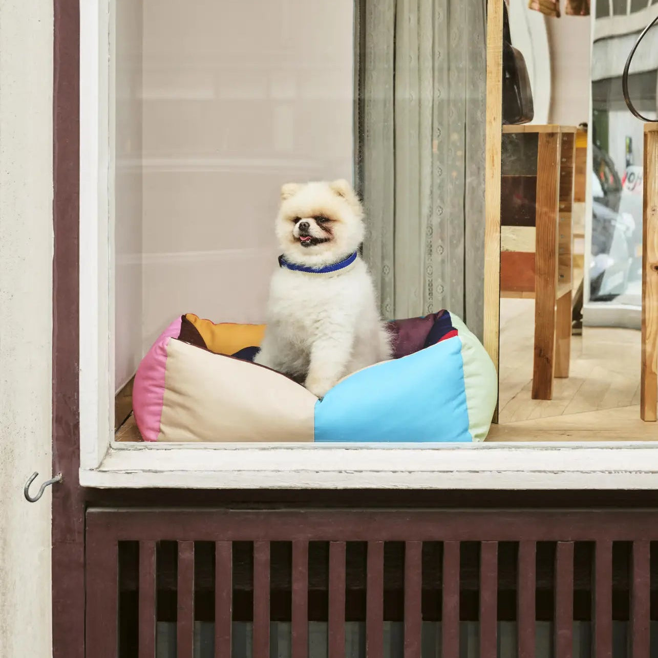 Dogs Bed, Small Multi