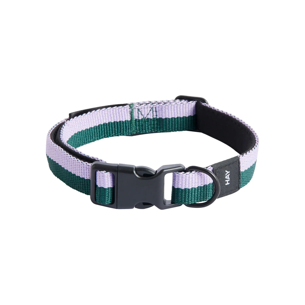 Dog Collar Flat, Lavender/Green, S/M