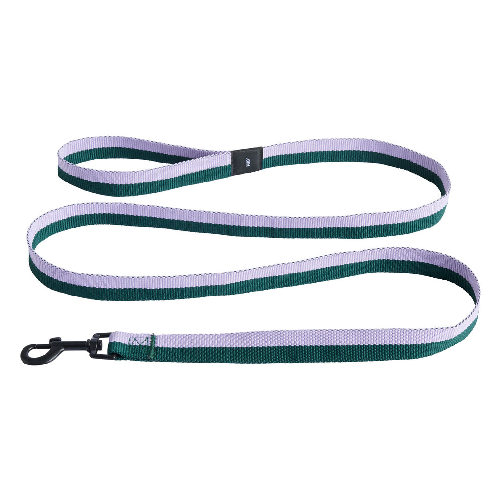 Dog Leash Flat, Lavender/Green, M/L
