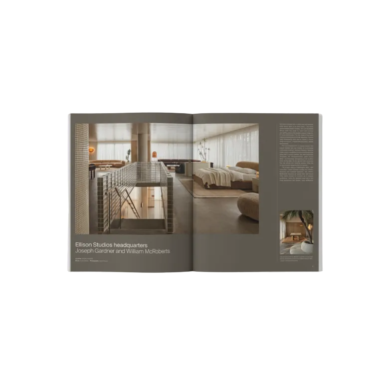 The Local Project, Issue 20