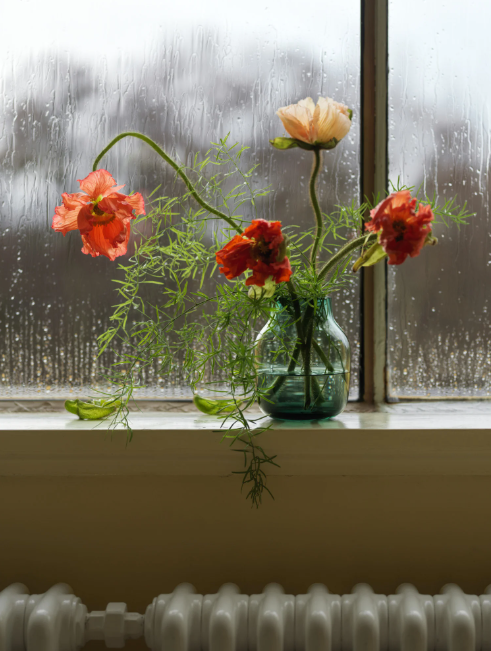 Silent Vase, Burnt Orange 7.8"