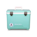 Cooler + Dry Box w/Strap, 19qt - Seafoam