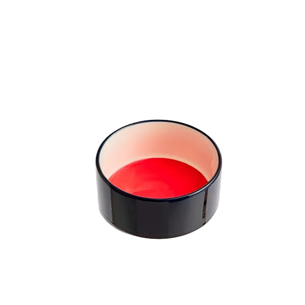 Dogs Bowl S, Red/Blue