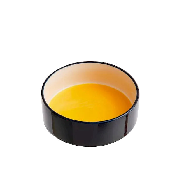 Dogs Bowl L, Blue/Yellow