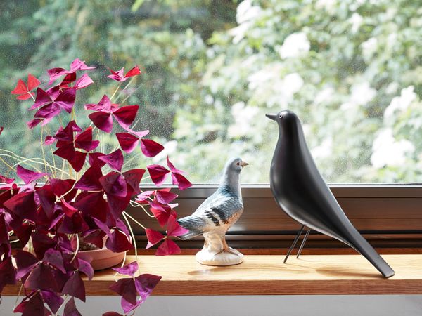 Eames House Bird, Alder/Black Lacquer, 11"x 3.25" x 11"