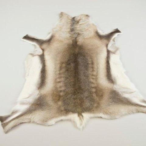 Large Finnish Reindeer Hide
