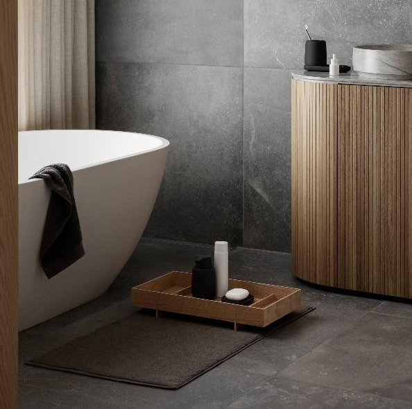 SONO Soap Dish, Microchip
