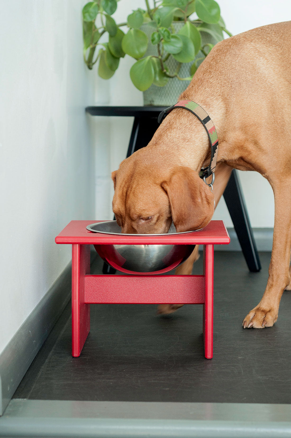 Minimalist Dog Bowl, Single Large, Cloud Blue