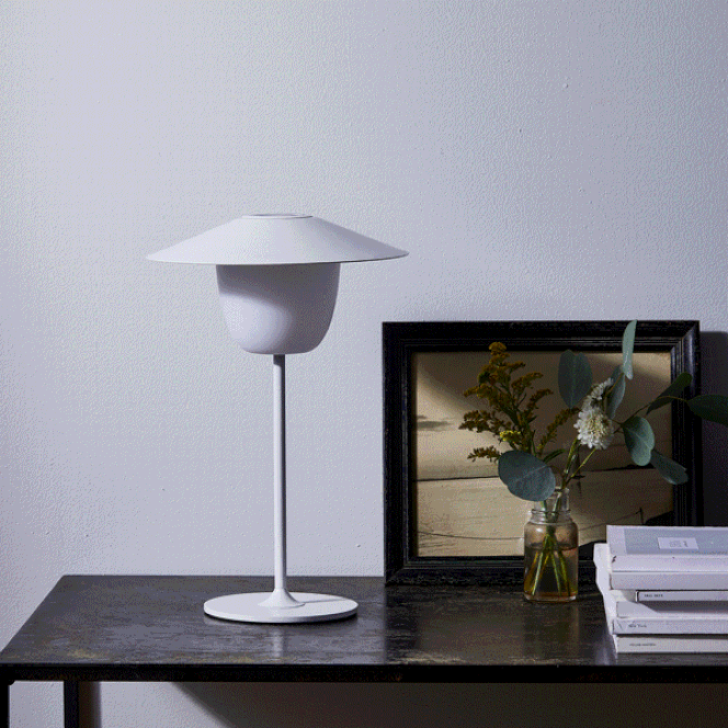 ANI Lamp, Satellite