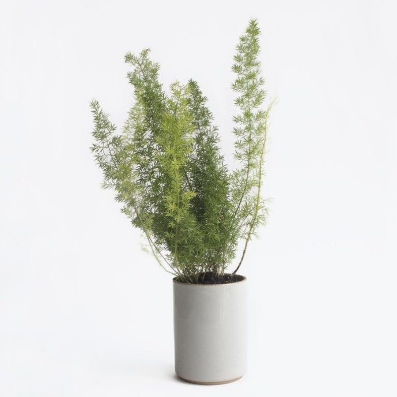 Hasami Planter, Tall, Gloss Grey *Does not come with Dish/Plate