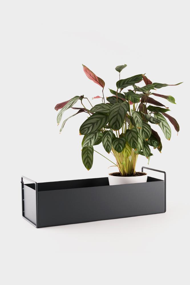 Plant Box, Small, Dark Grey
